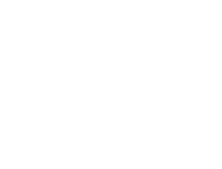interes social fx group