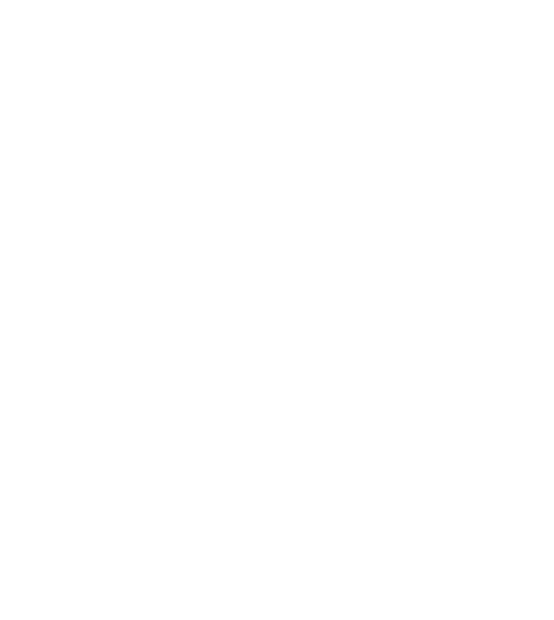 silver fx group